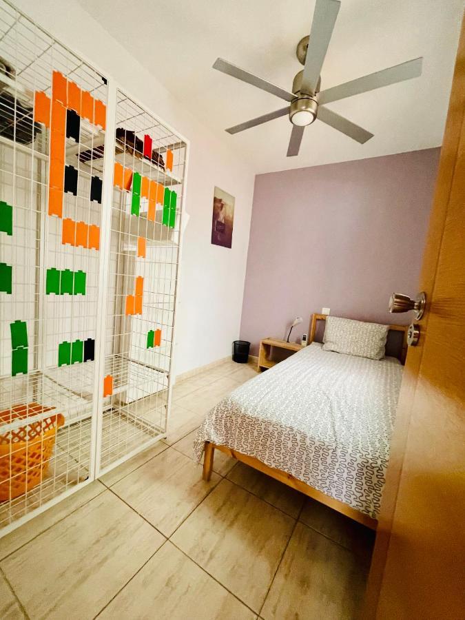 Piso Amplio Familiar Apartment เตลเด ภายนอก รูปภาพ